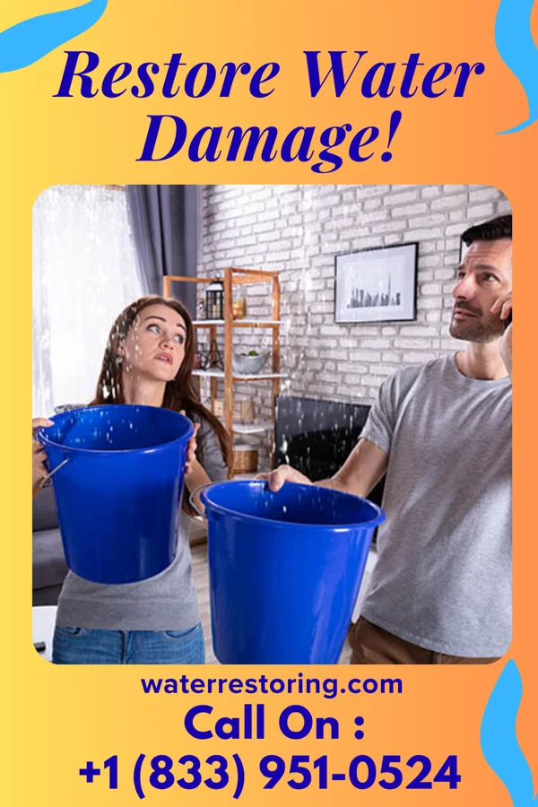 water restoration Sewage Cleanup & Associates Chimney Point