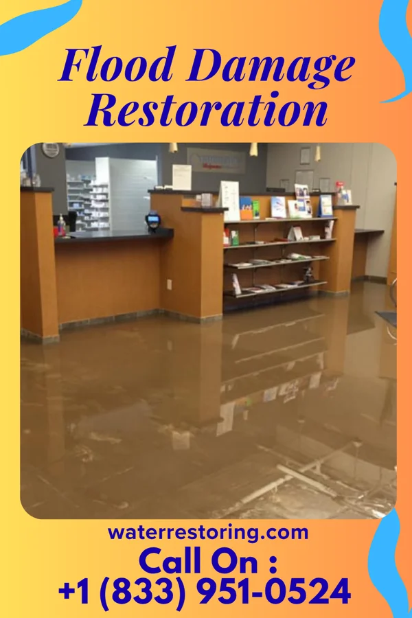 Flood Damage Restoration in Chimney Point, CT