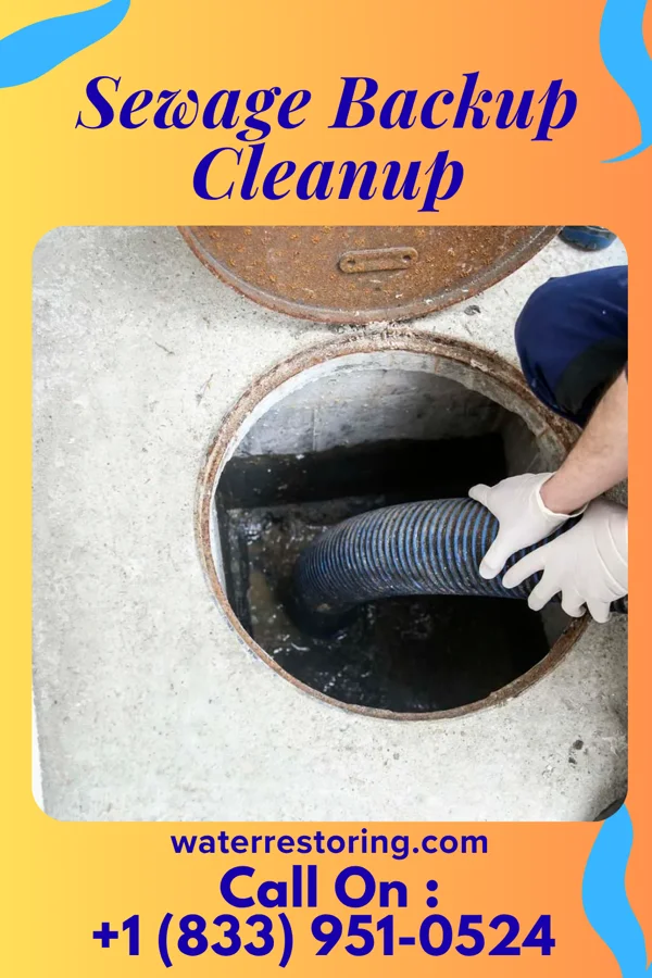 Sewage Backup Cleanup in Chimney Point, CT