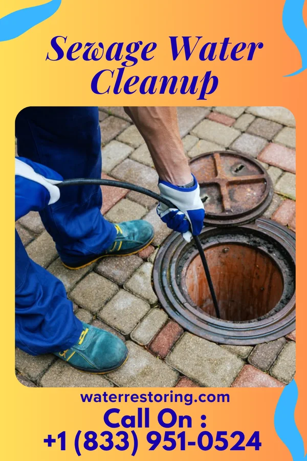 Sewage Water Cleanup in Chimney Point, CT